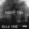 About The Willow Tree Song