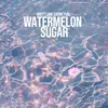 About Watermelon Sugar Song