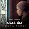 About Mesh Zaalana Song