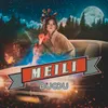 About Meili Song