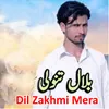 Dil Zakhmi Mera