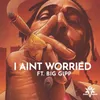 About I Ain't Worried Song