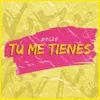 About Tú Me Tienes Song