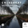 Nighthawks 2021 Radio Edit