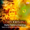 Lord Krishna Maha Mantra Chanting (Hare Krishna Hare Rama 108 Times)