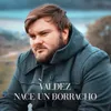About Nace un Borracho Song