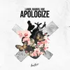 About Apologize Song