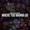 Where You Wanna Go