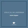Jesus Du är underbar