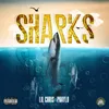 About Sharks Song