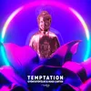 About Temptation Extended Mix Song