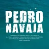 About Pedro Navaja Song