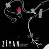 About Ziyan Song