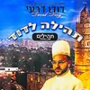 פרק ט"ז-התיקון הכללי