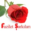 Fazilet Şarkısı