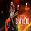 About כולם רוצים Song