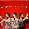 About אחים Song