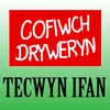 Cofiwch Dryweryn Yn Fyw