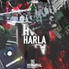 About Harla Song