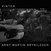 About Vinter Song