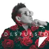 About DISPUESTO Song