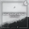 About What Went Wrong Song