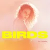 About Birds Song