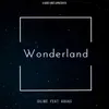 About Wonderland Song