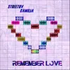 About Remember Love Song