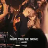 About Now You're Gone Extended Mix Song