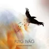 Flyg iväg