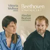 Violin Sonata No. 4 in A Minor, Op. 23: III. Allegro molto