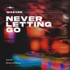 About Never Letting Go Song