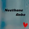About Neethane Anbe Song
