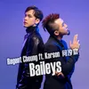 About Baileys (feat. 何汐宸) Song