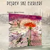 Suzidil Peşrevi, Suzidil Saz Semaisi