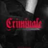 About Criminale Song