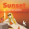 Sunset Serenade 1hr Mixtape