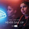 About Never Give Up Song