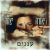 About עננים Song