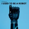 About I Used to Be a Robot Song