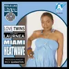 Miami Heat Wave 12" Mix