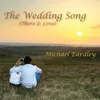 About The Wedding Song (There is Love) Song