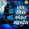 Jai Shiv Shankar Mahadev