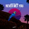 About Never Met You Song