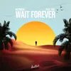 About Wait Forever Song