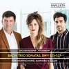 Trio Sonata No. 2 in C Minor, BWV 526: III. Allegro (Arr. for Harpsichord, Marimba & Cello)