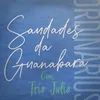 About Saudades da Guanabara Song