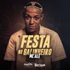 About Festa No Galinheiro Song