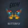 About butterfly Song